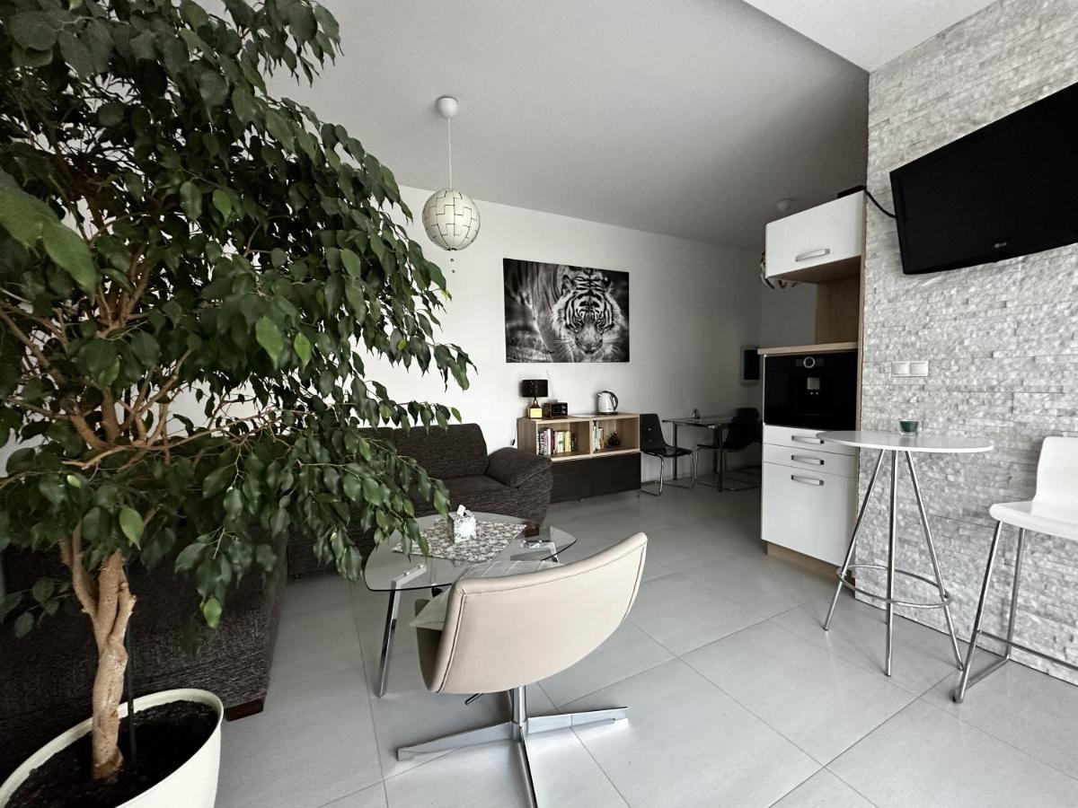 Apartman Lodenica Πιεστάνυ Εξωτερικό φωτογραφία